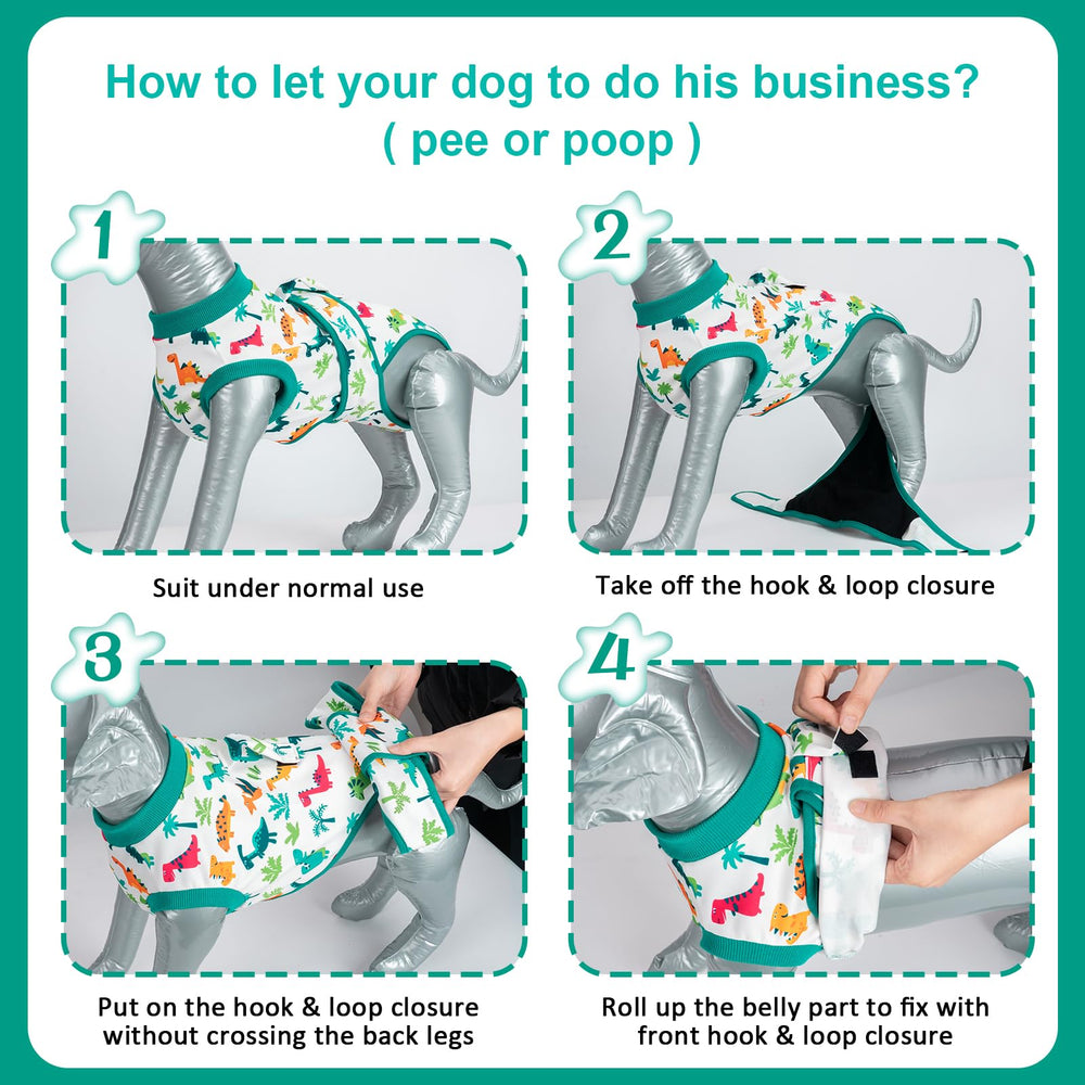 V.PET.B.R Tailles XS à 2XL : convient à tous les chiens et simplifie le choix.