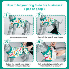 V.PET.B.R Tailles XS à 2XL : convient à tous les chiens et simplifie le choix.