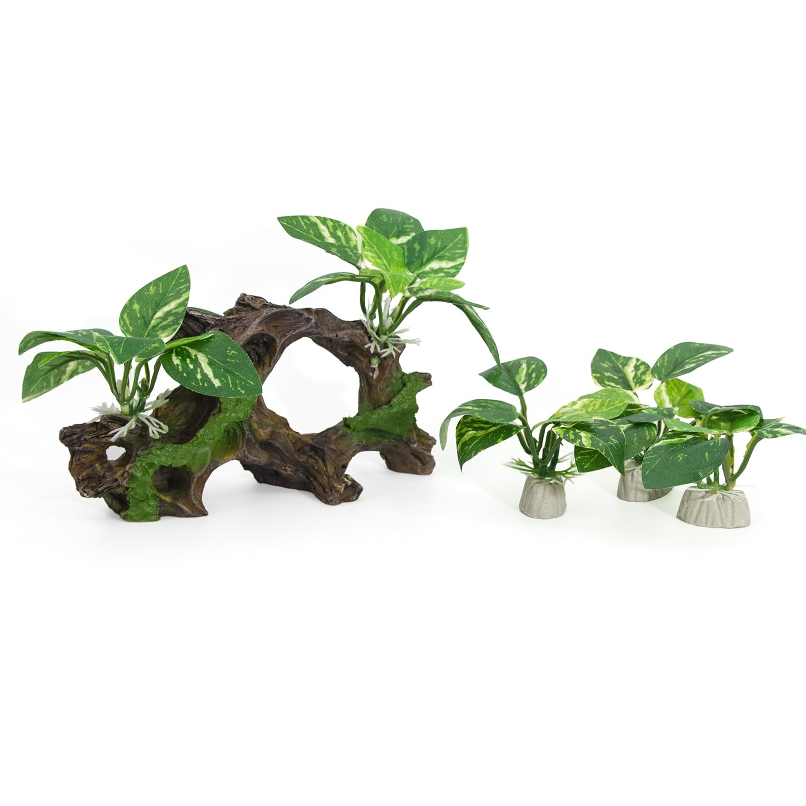 Vtapliea Accessoire aquarium: installation rapide et sans effort.