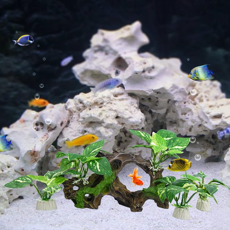 Vtapliea Driftwood 6,4 x 2,4 x 4 pouces: taille pratique.