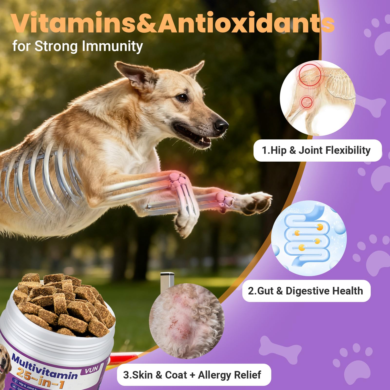 Digestion et immunité améliorées avec VUN