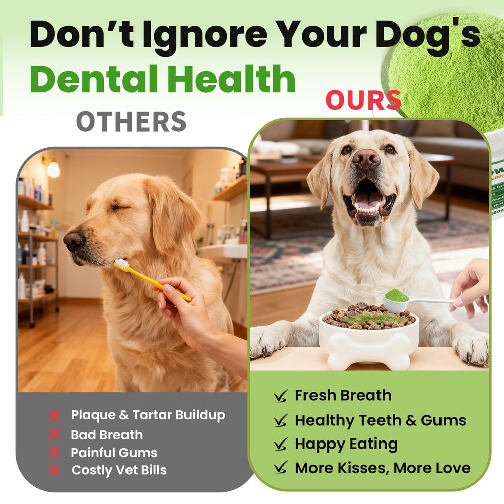 VUN Dog Powder ingrédients algues brunes, démontrant un choix naturel.