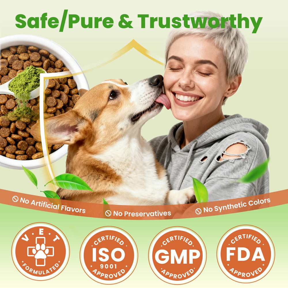 VUN Dog Powder sans eau nécessaire, utilisation simplifiée au quotidien.