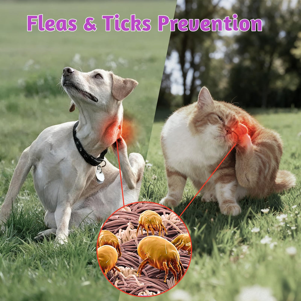 Gommes VUN pour chien, texture molle au poulet, facile à mâcher.