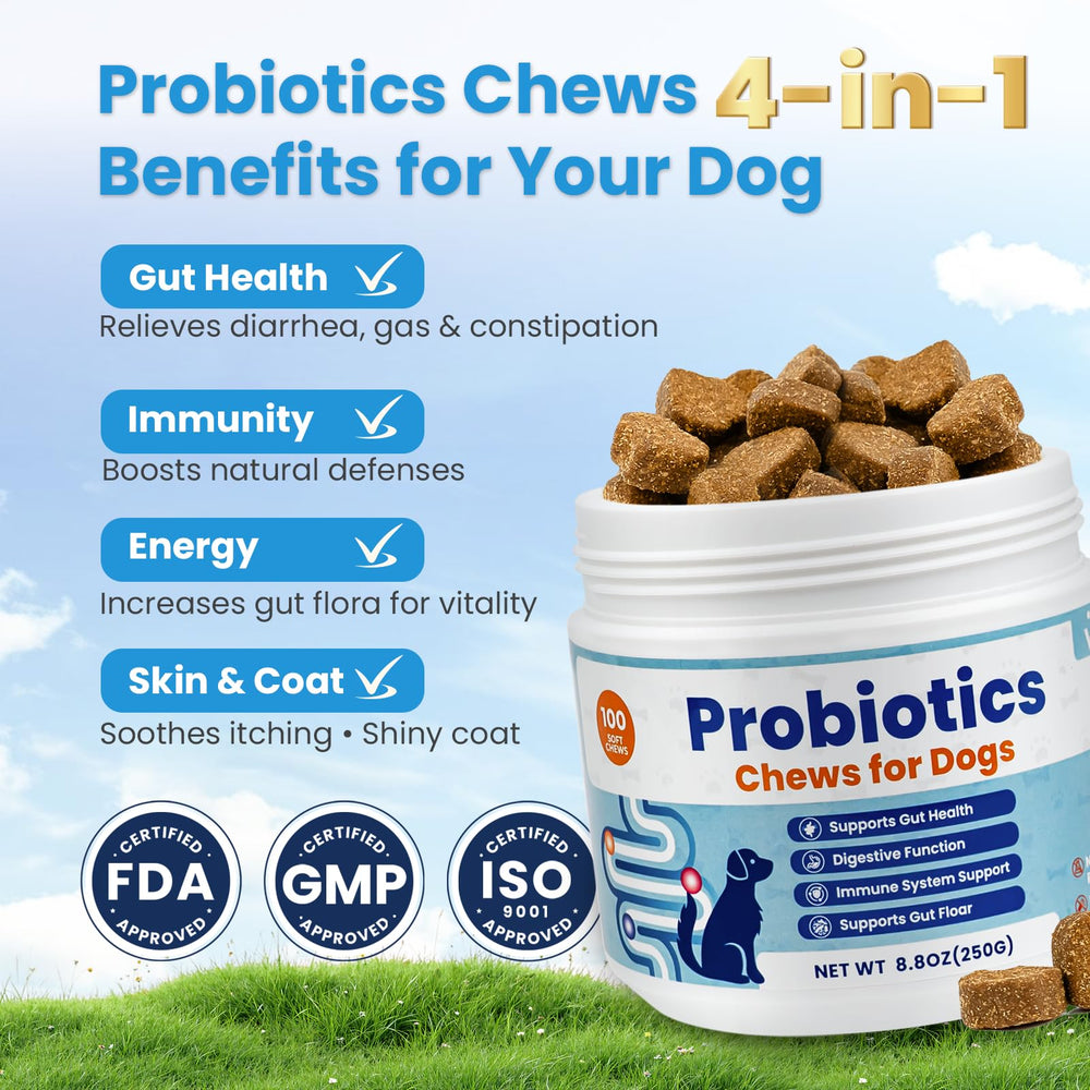Gommes digestives VUN pour chiens, saveur agréable et facile à donner.