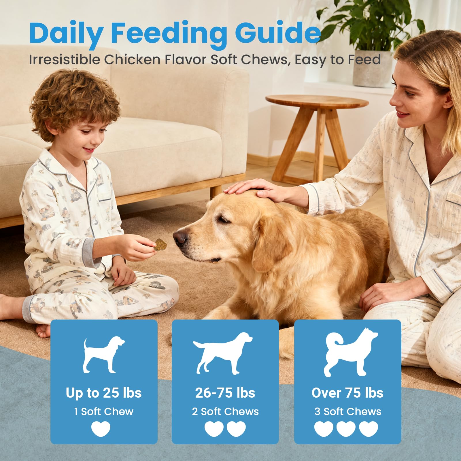 Utilisation quotidienne avec les probiotiques VUN pour chiens.