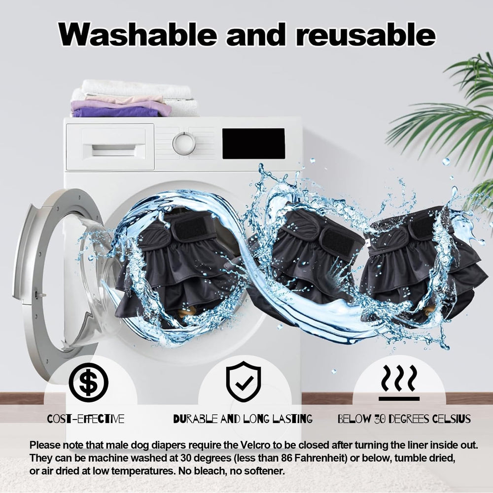 Chienne portant une couche lavable VUNCESSIN, exemple d'utilisation quotidienne.