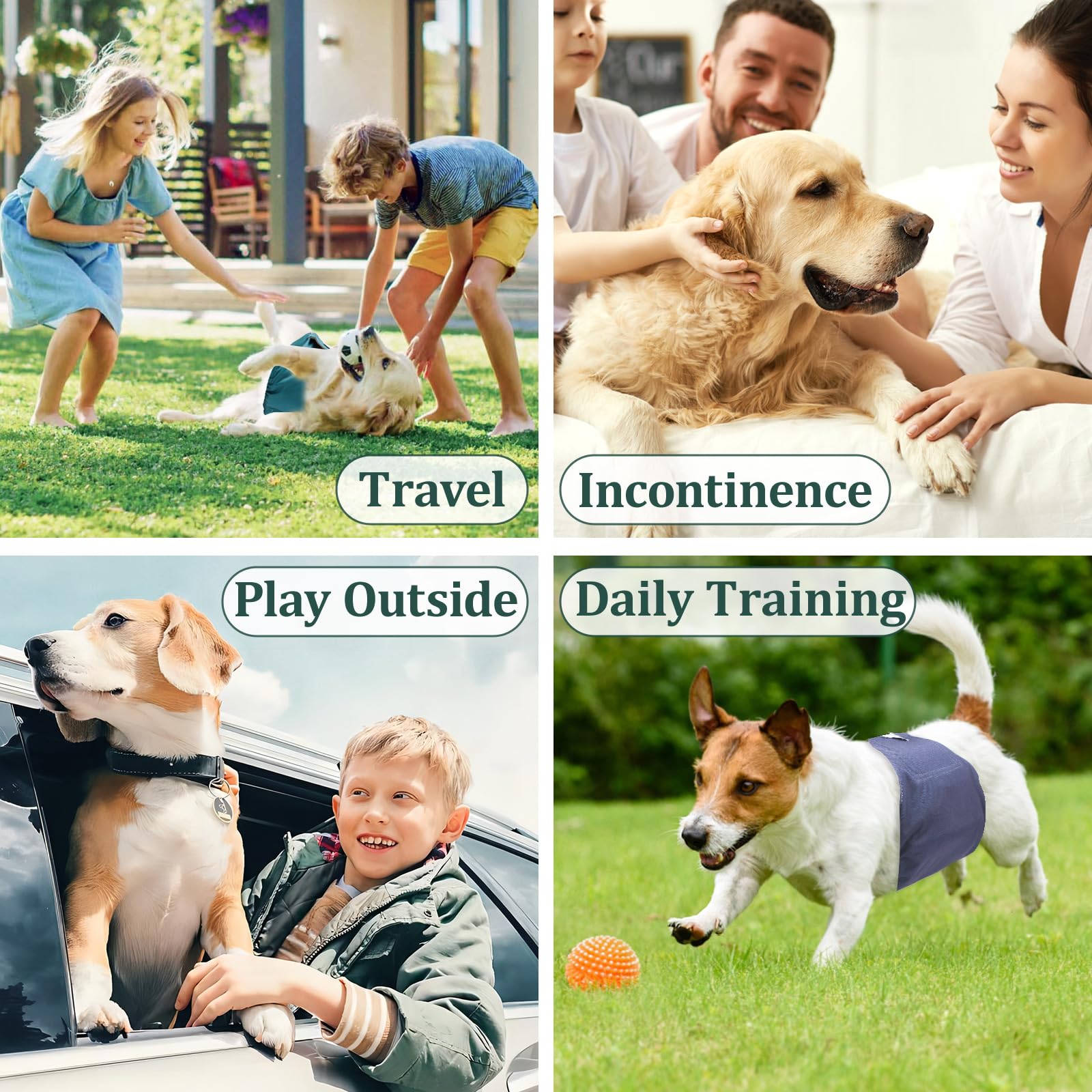 Lot de 5 bandes ventrales pour petits chiens mâles VUNCESSIN.
