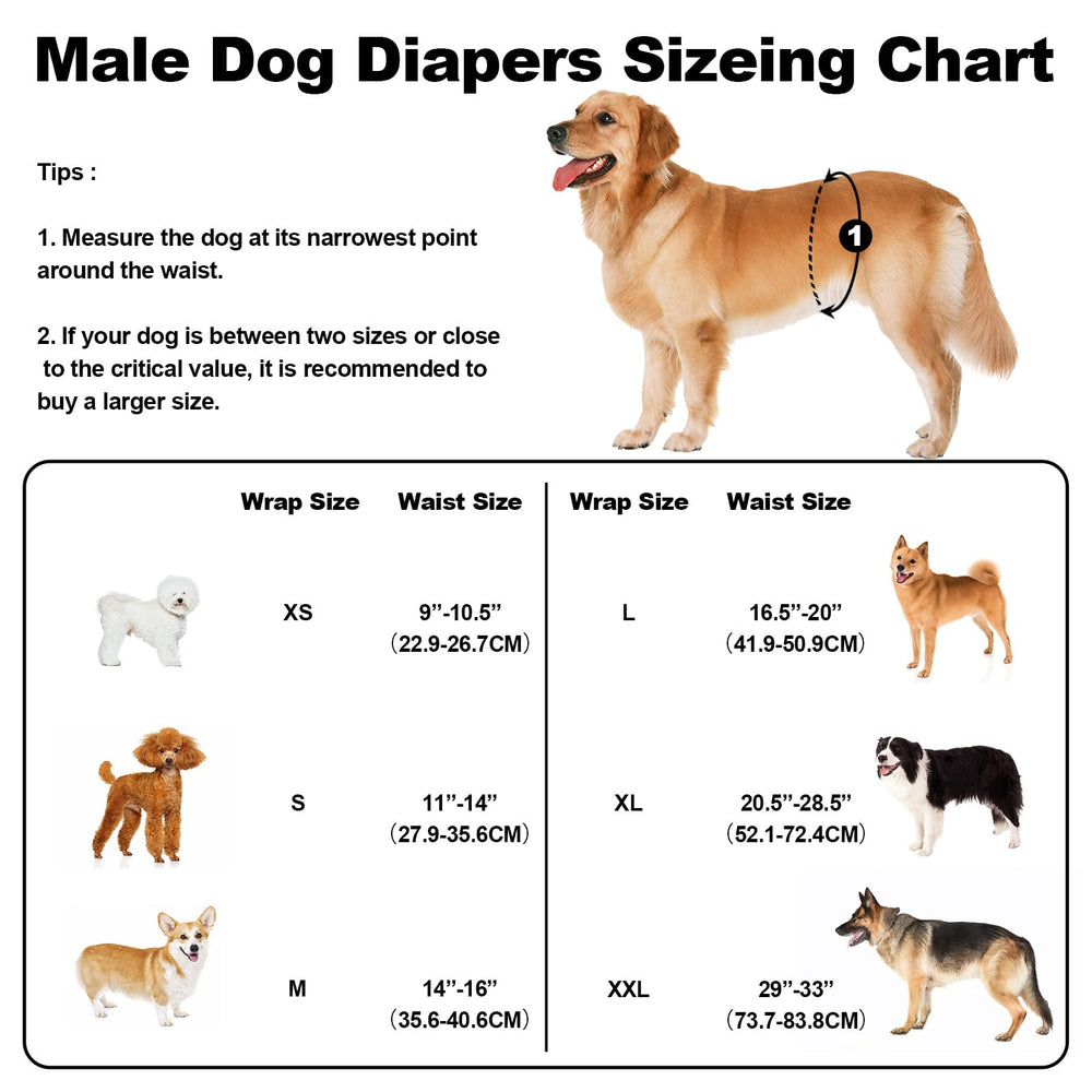 Matière douce et respirante VUNCESSIN pour le confort quotidien du chien mâle.