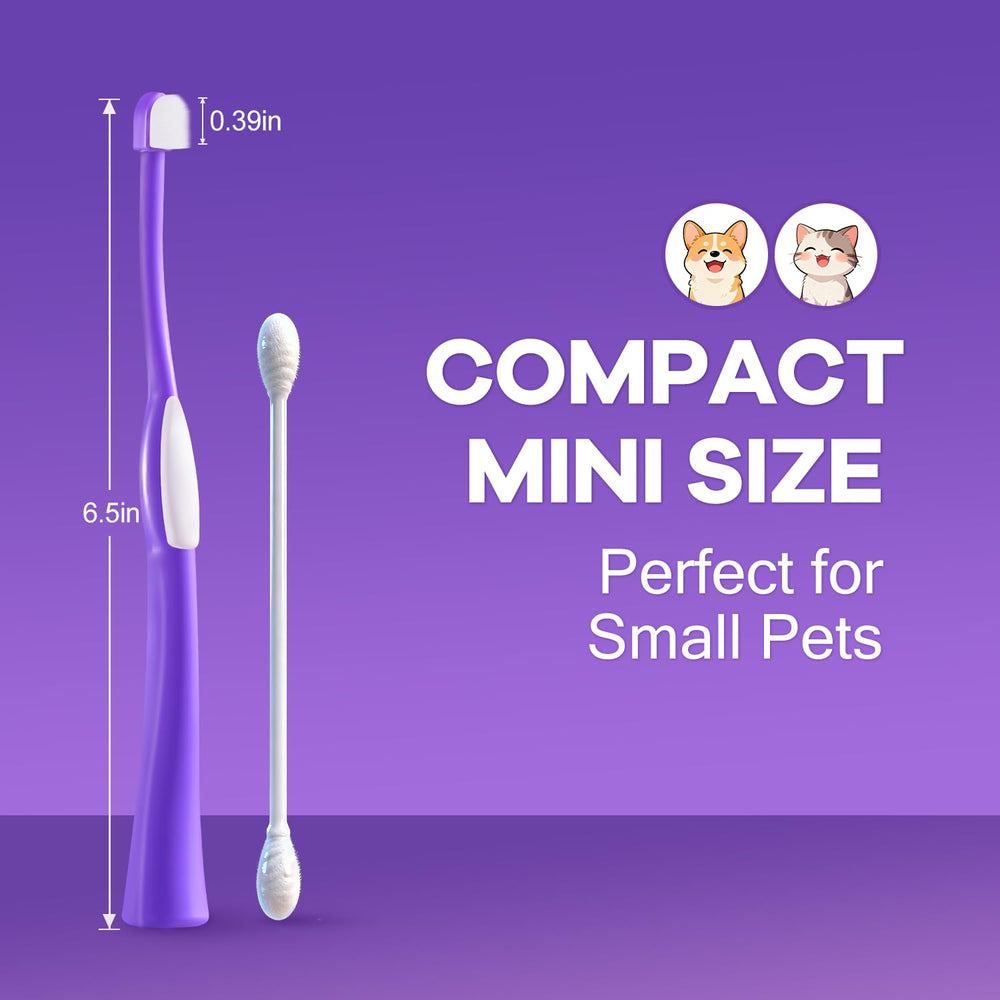 VVHOMIFE base hygiénique de rangement pour brosse-dent, sèche rapidement.