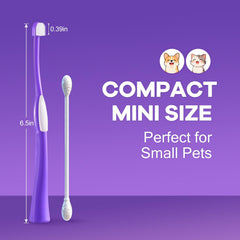 VVHOMIFE base hygiénique de rangement pour brosse-dent, sèche rapidement.