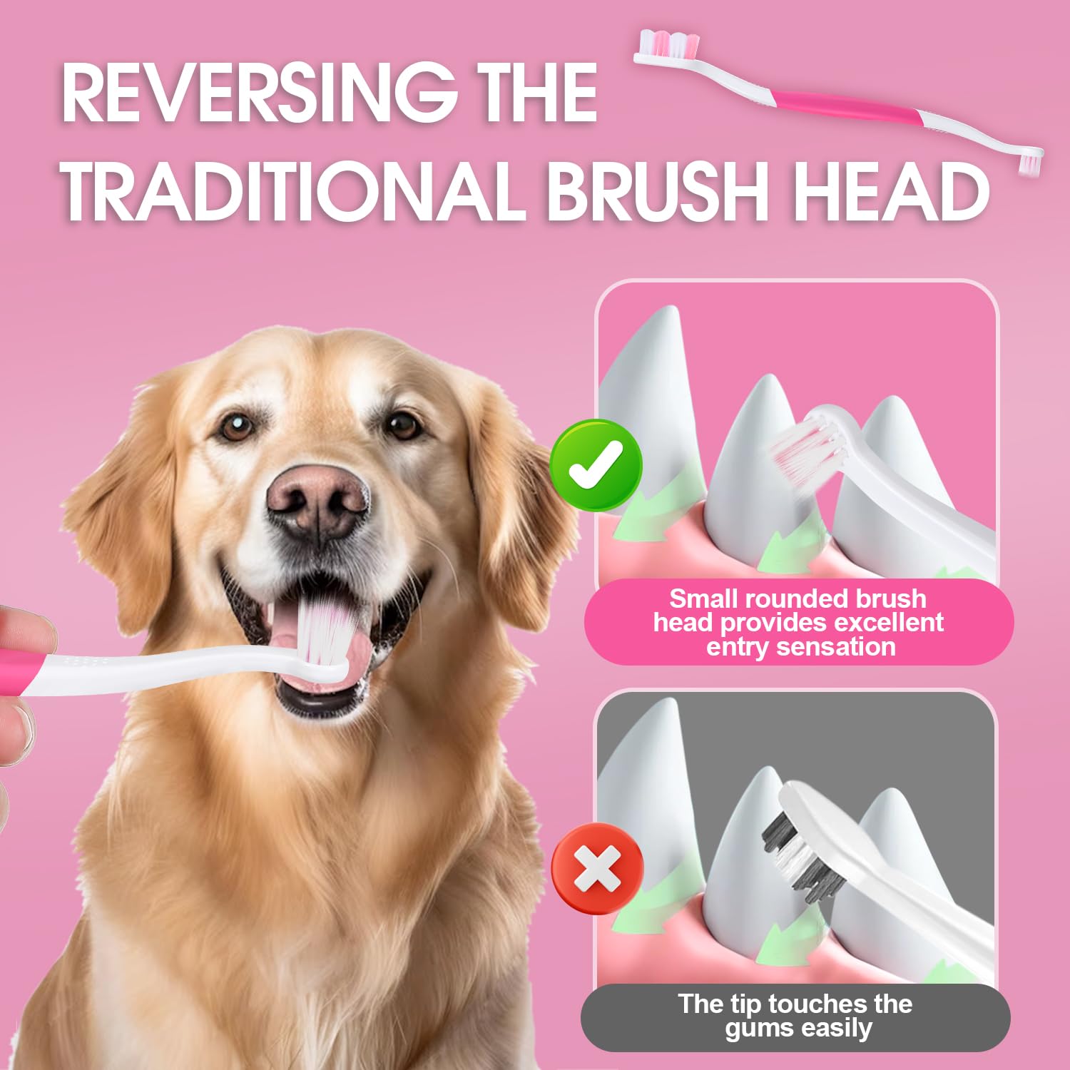 VVHOMIFE brosse pour chiens avec brins intérieurs visant à éliminer la plaque.