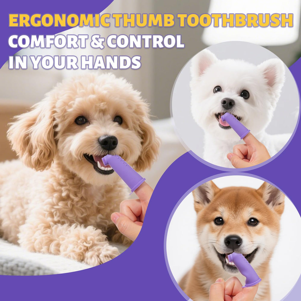 Brossage dentaire avec brosse doigt VVHOMIFE pour petit chien.