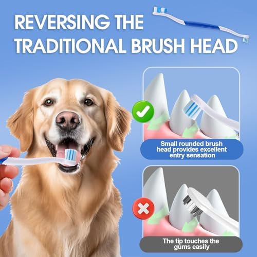 VVHOMIFE brosse dent chien ensemble six couleurs pour chaque chien