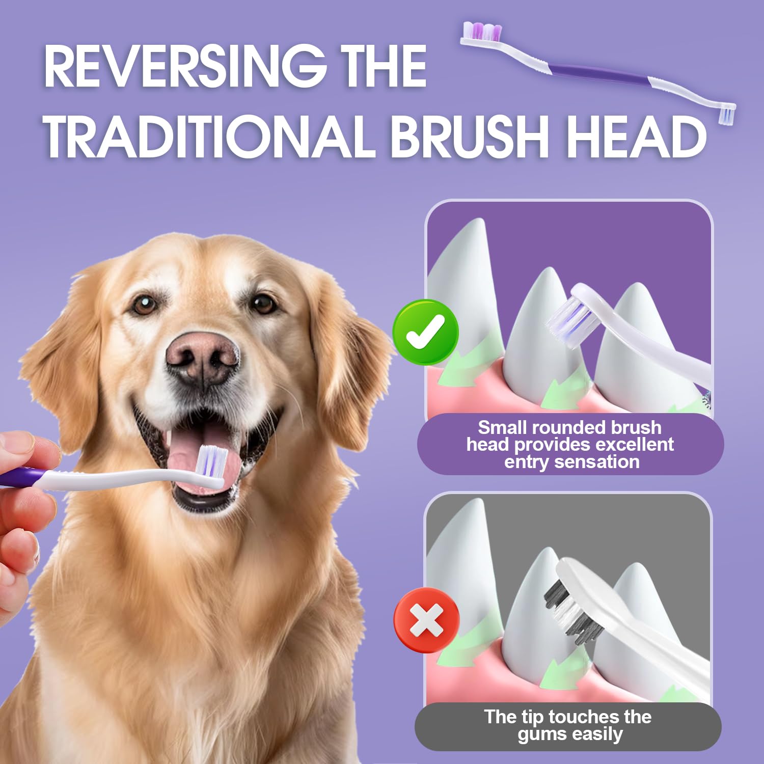 VVHOMIFE brosse chien idéale pour nettoyer les dents à domicile.