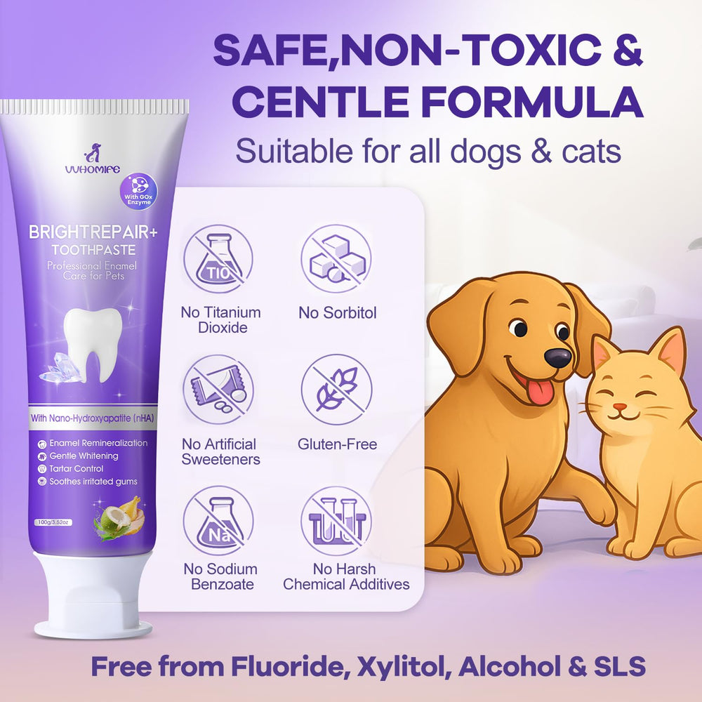 VVHOMIFE dentifrice nHA 6% – haleine plus fraîche après le brossage.