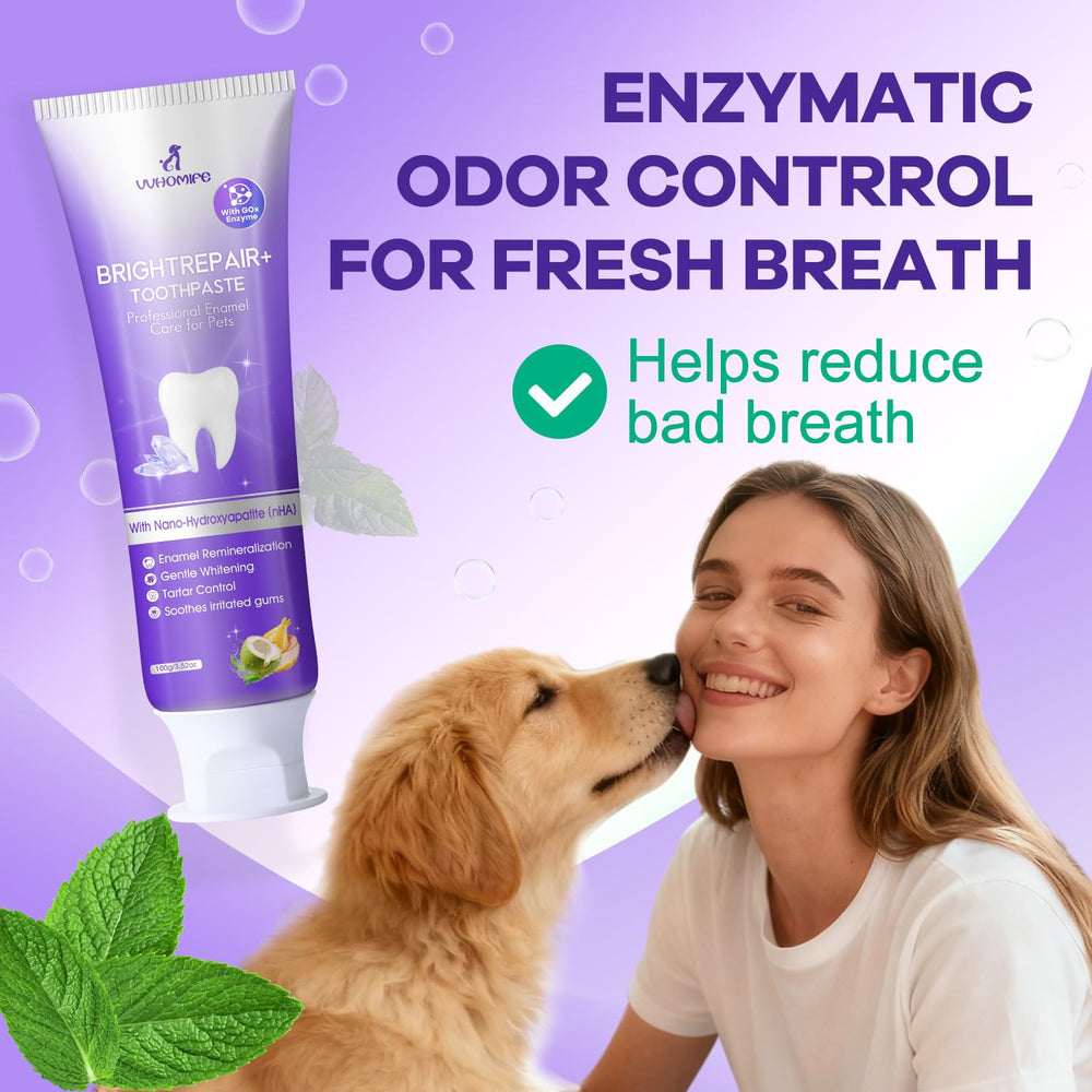 VVHOMIFE dentifrice nHA 6% – remineralisation douce de l’émail.