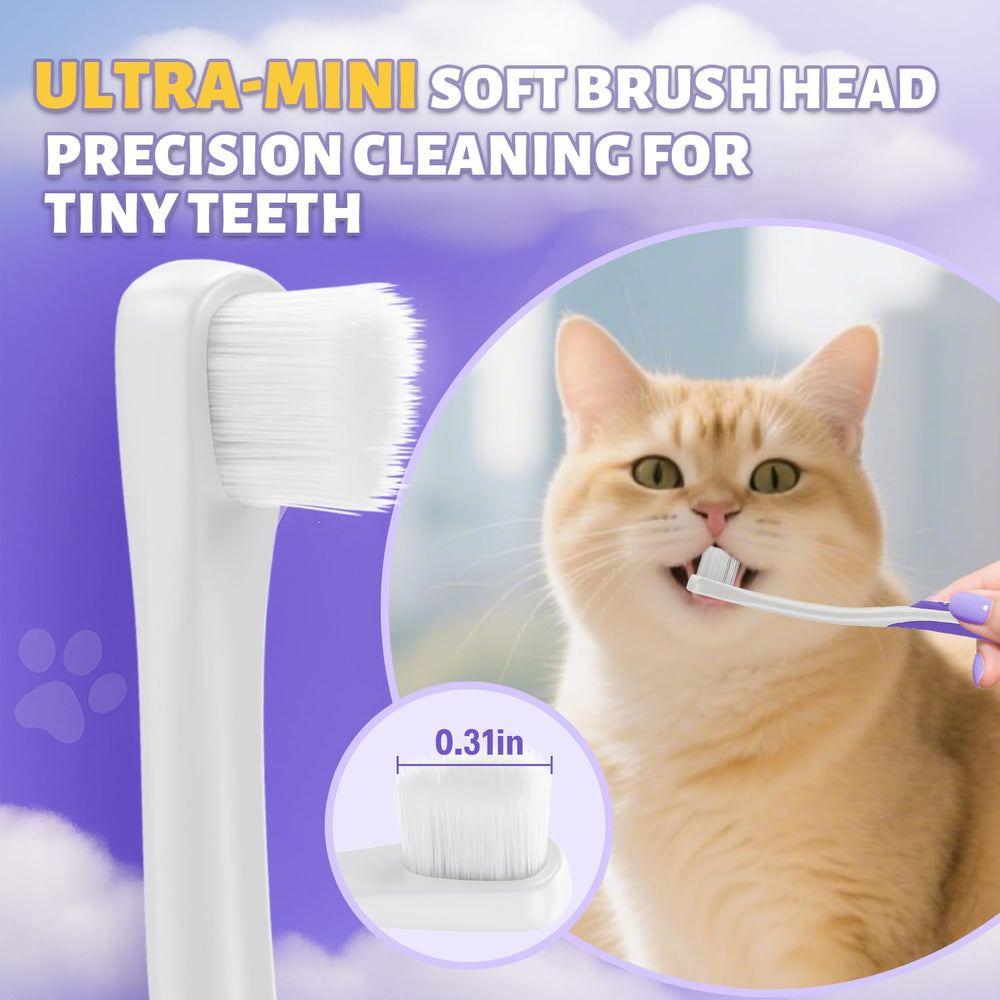VVHOMIFE kit dentaire chat complet, soin quotidien facilité.