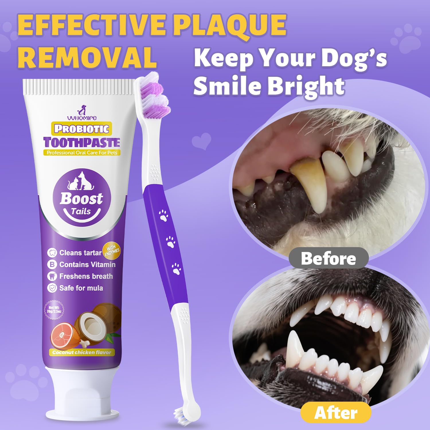 VVHOMIFE packaging élégant du kit buccal chien prêt à l'emploi.