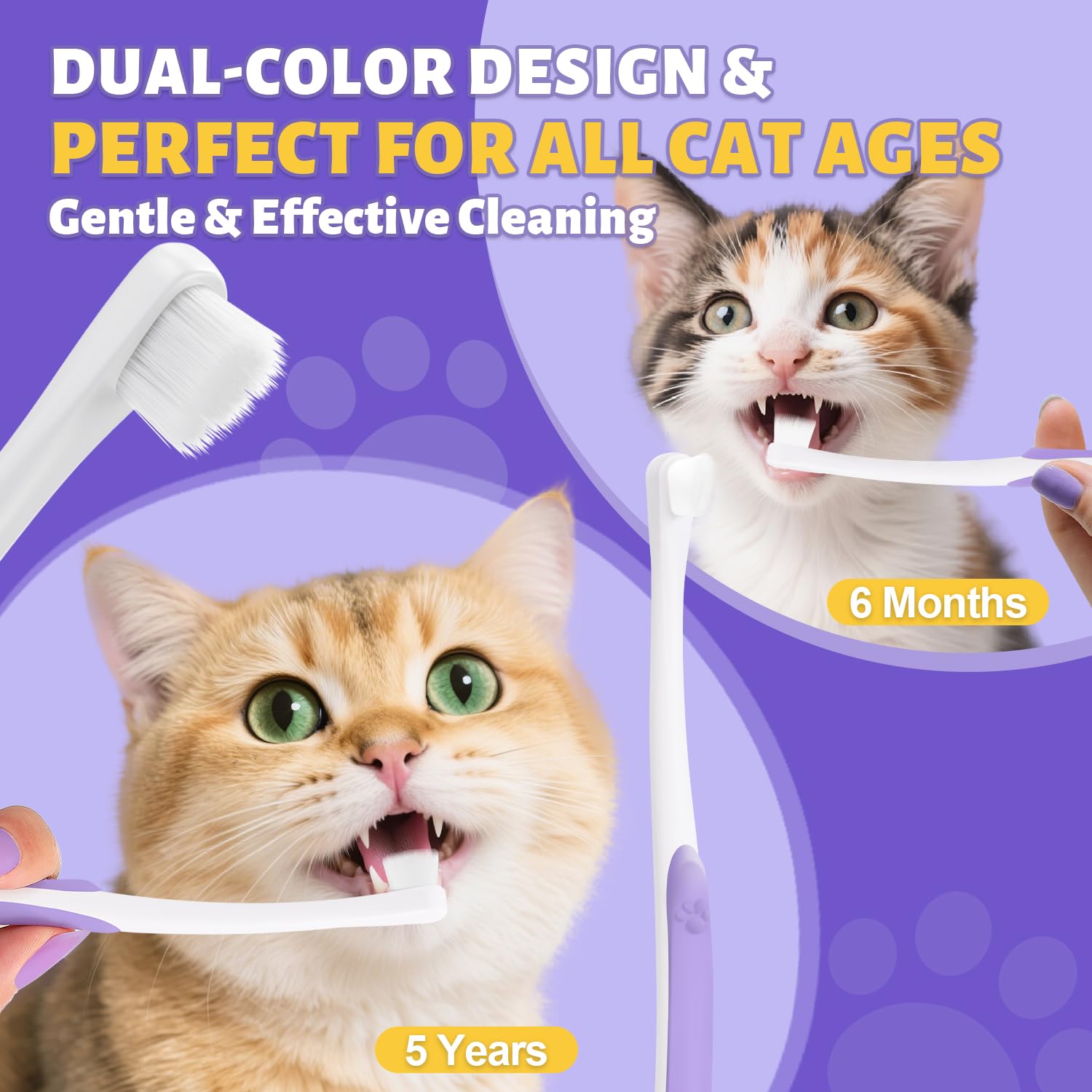 VVHOMIFE usage-quotidien-chat: routine rapide et quotidienne sans stress.