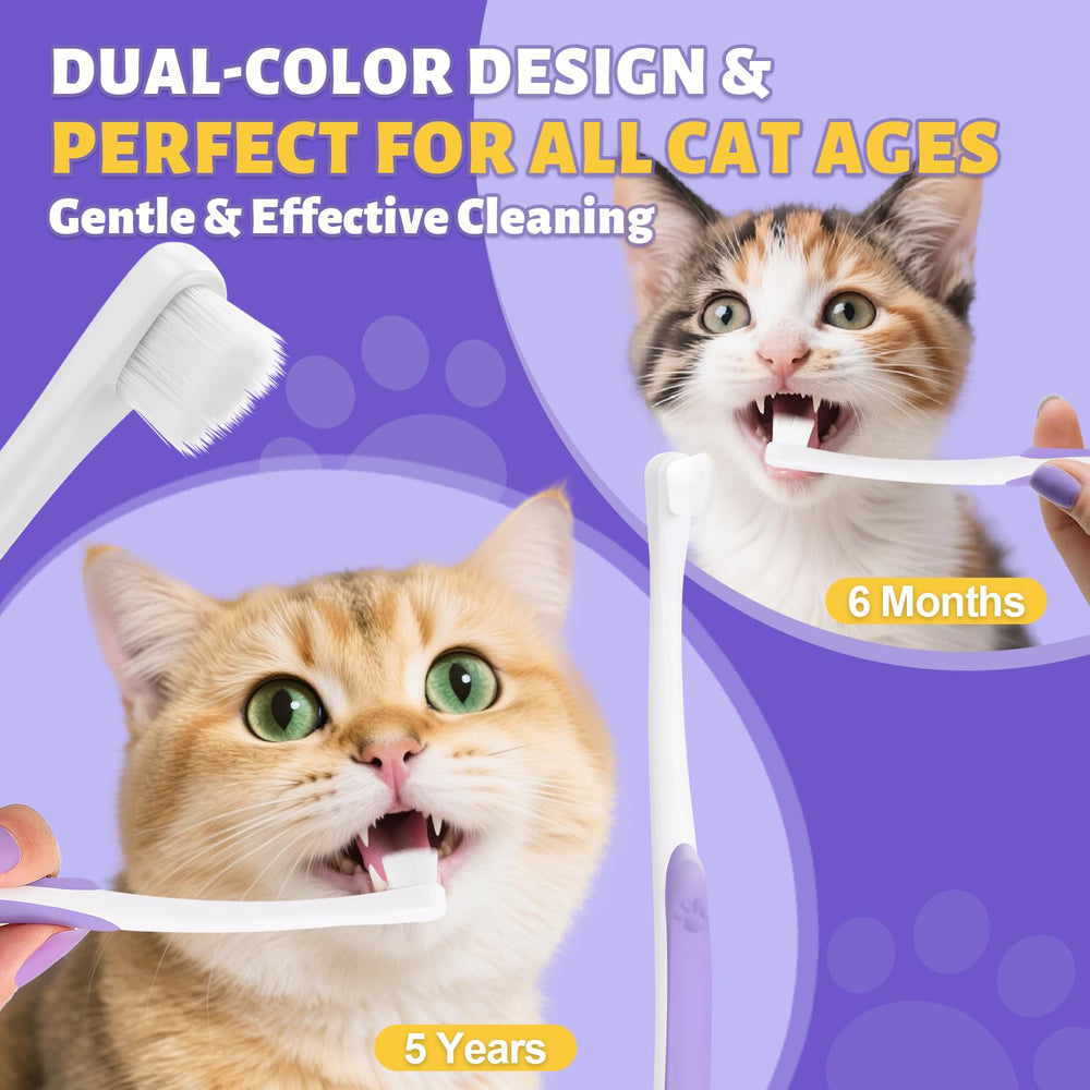 VVHOMIFE usage-quotidien-chat: routine rapide et quotidienne sans stress.