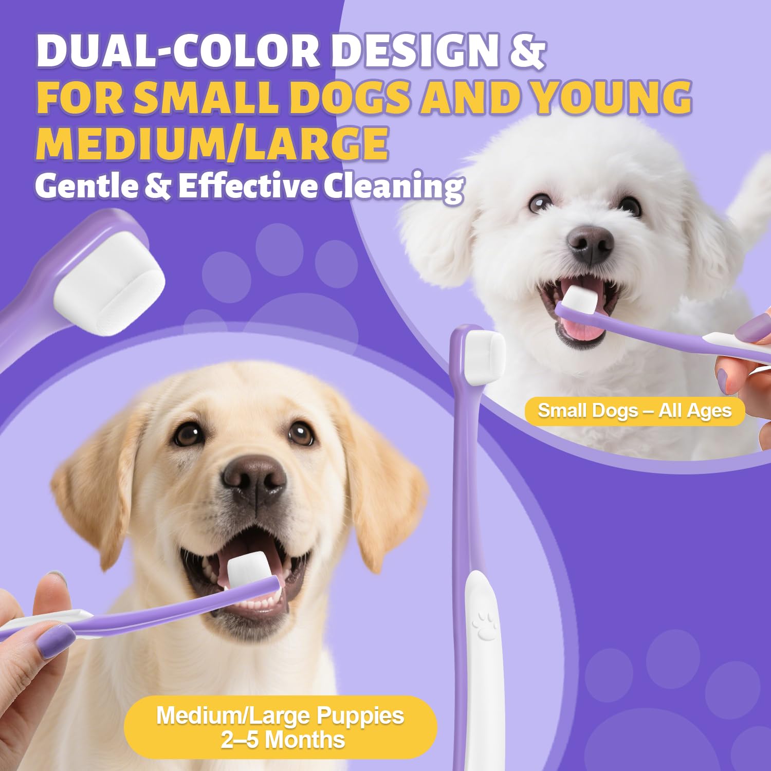 VVHOMIFE utilisation quotidienne simple et sûre pour chiens de petite taille.