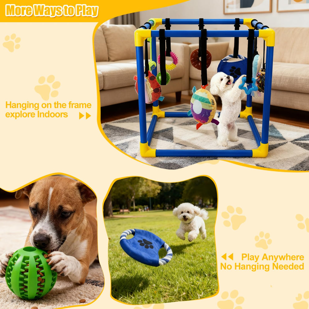 VYNALTIX Puppy Play Gym disque-frisbee: jeu de fetch en intérieur pour chiots actifs