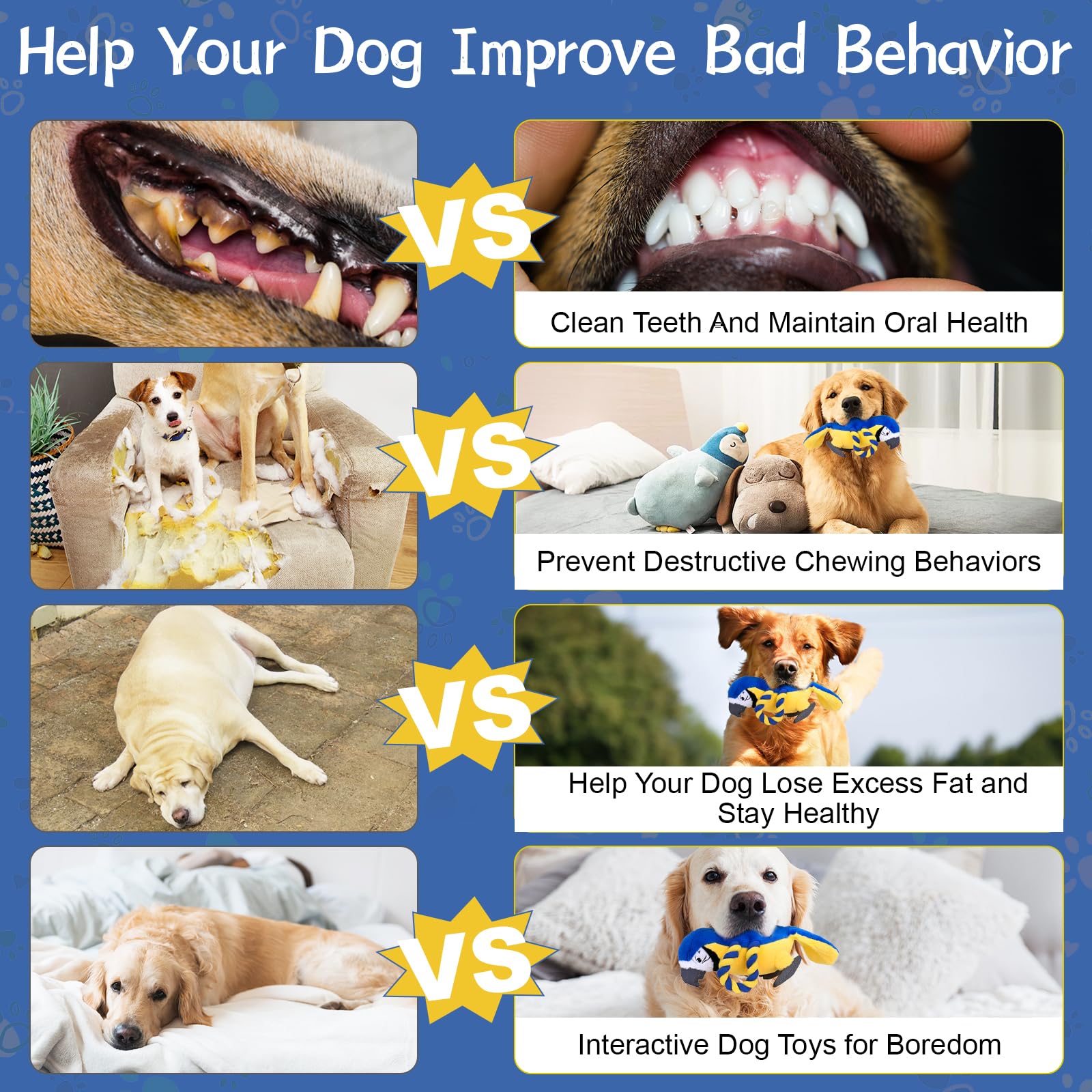Cadeau parfait pour chiots et chiens – plaisir abordable avec VYsTN.