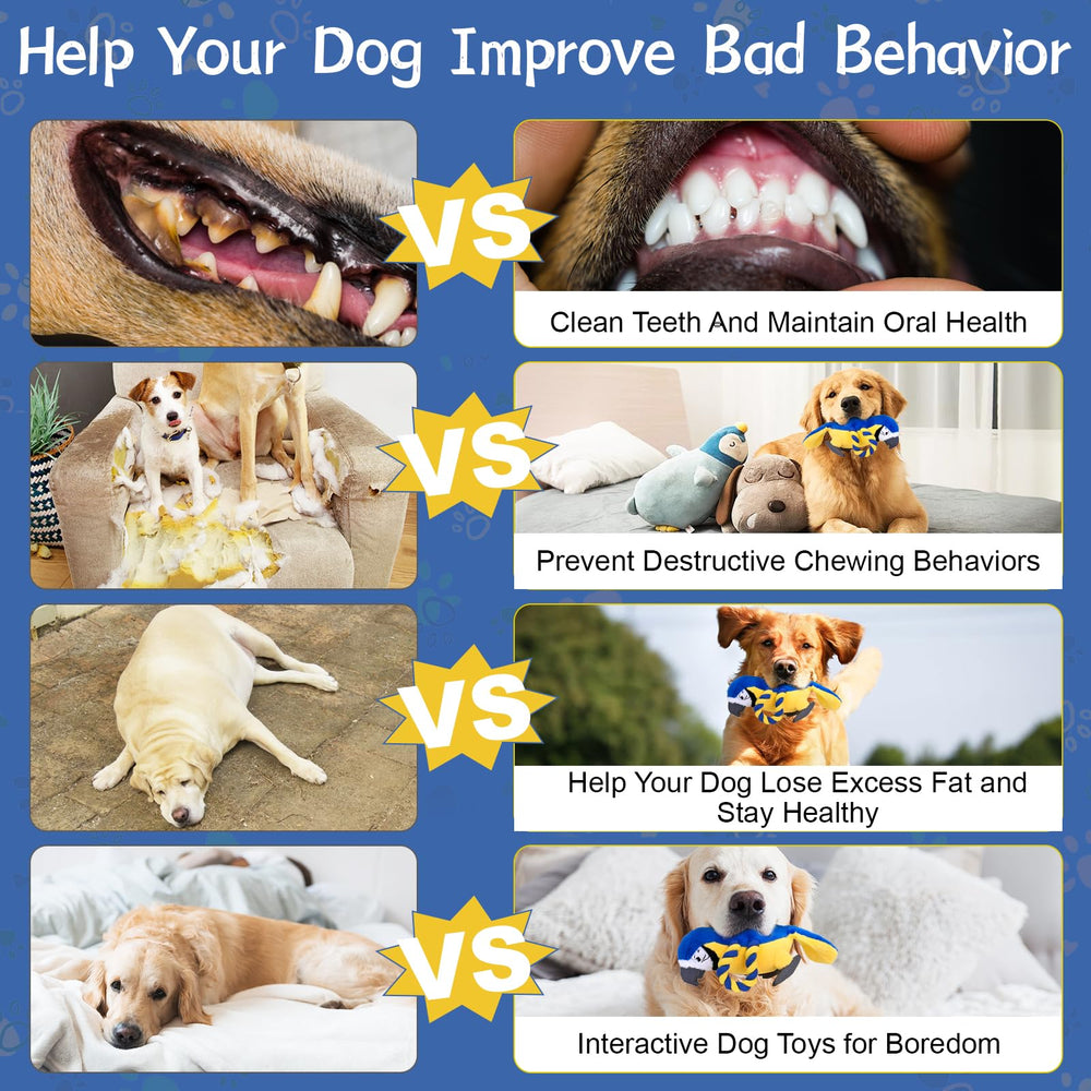 Cadeau parfait pour chiots et chiens – plaisir abordable avec VYsTN.