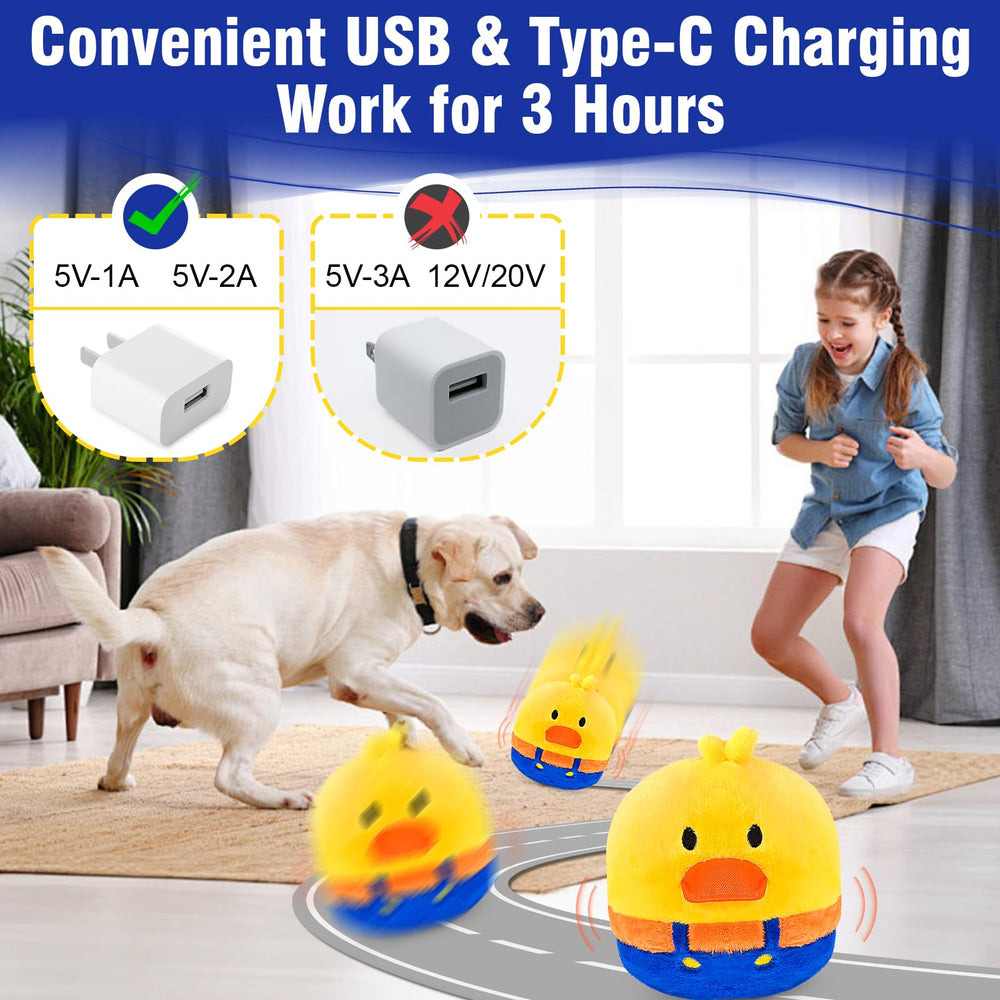 Taille cinq pouces VYsTN adaptée pour petits et moyens chiens.