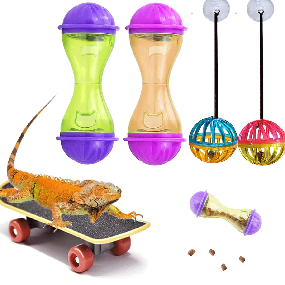 VZqola ensemble 5 jouets réptile pour enrichissement et divertissement dans le terrarium.