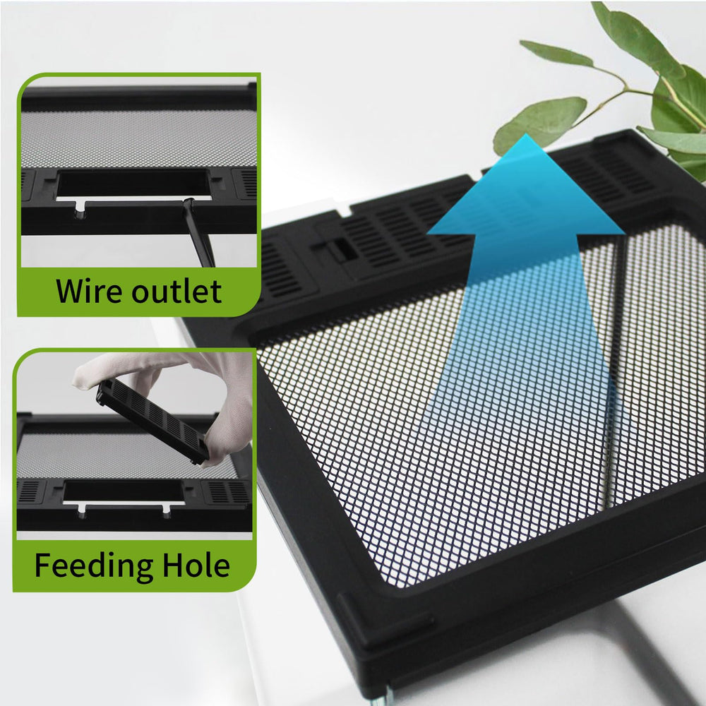 Base en verre épais Waazoorep terrarium pour sécurité et durabilité