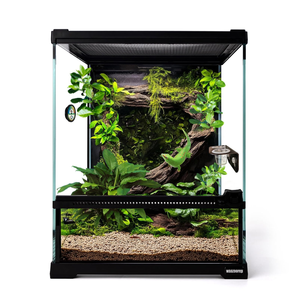 Waazoorep terrarium en verre 8x8x10 avec vue panoramique pour observer l animal