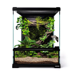 Waazoorep terrarium en verre 8x8x10 avec vue panoramique pour observer l animal