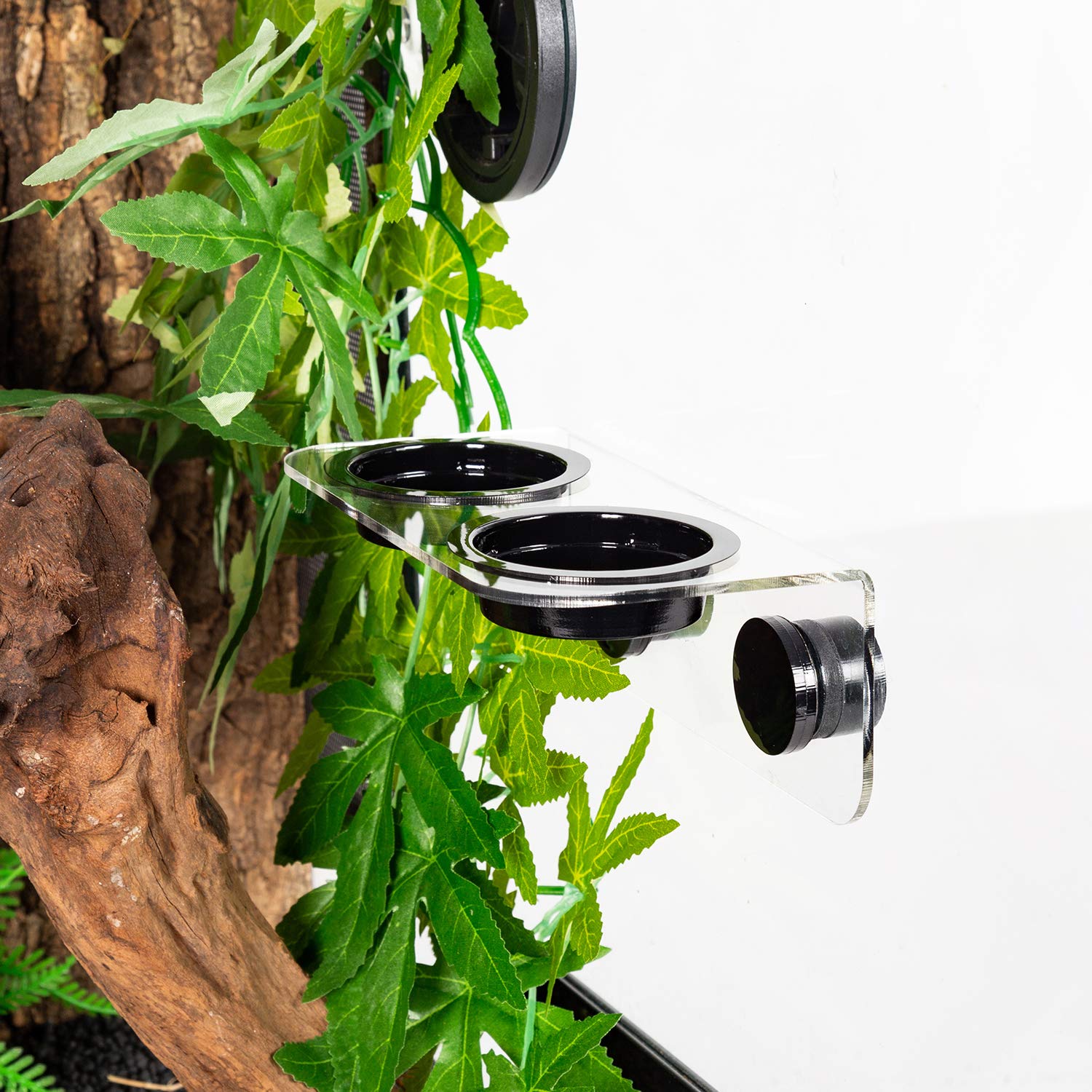 Compatibilité avec vitrines et cages variées pour geckos et iguanes.