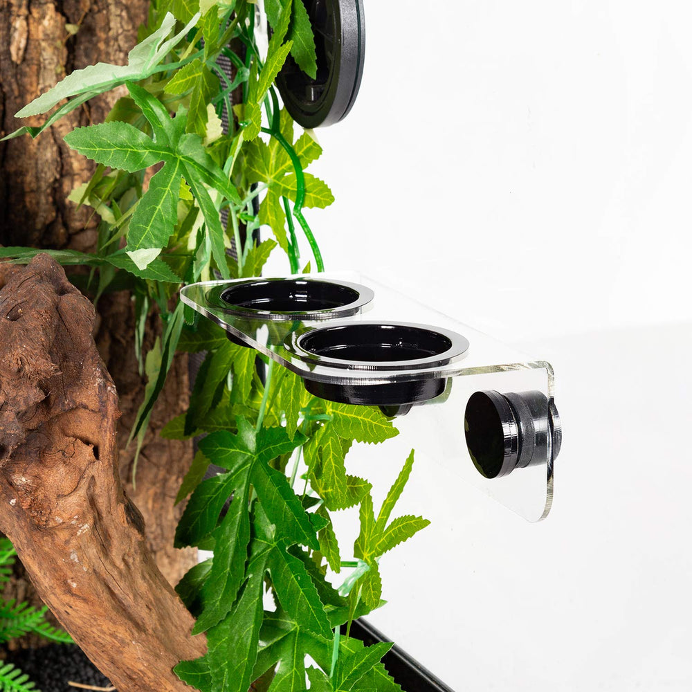 Compatibilité avec vitrines et cages variées pour geckos et iguanes.