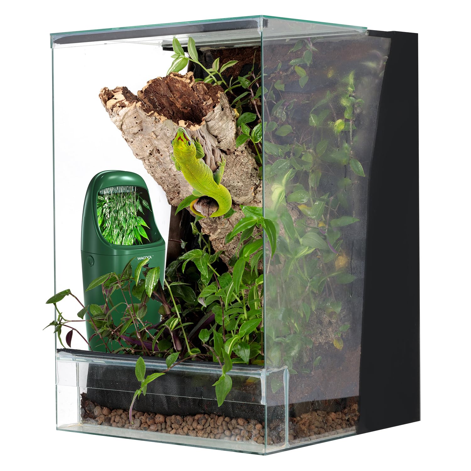 Design élégant s'intègre au terrarium du reptile