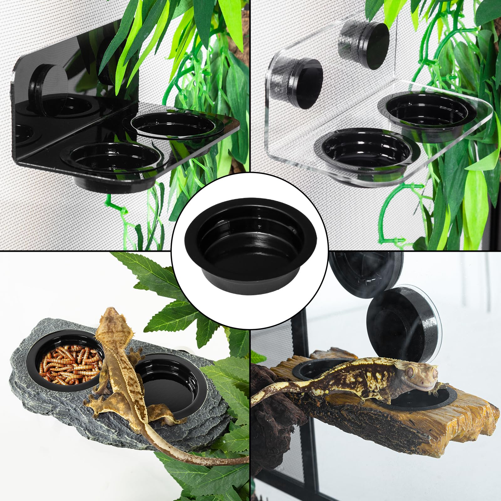 WACOOL-usage-polyvalent-geckos-lizards: facilite l'accès à l'eau et à la nourriture.