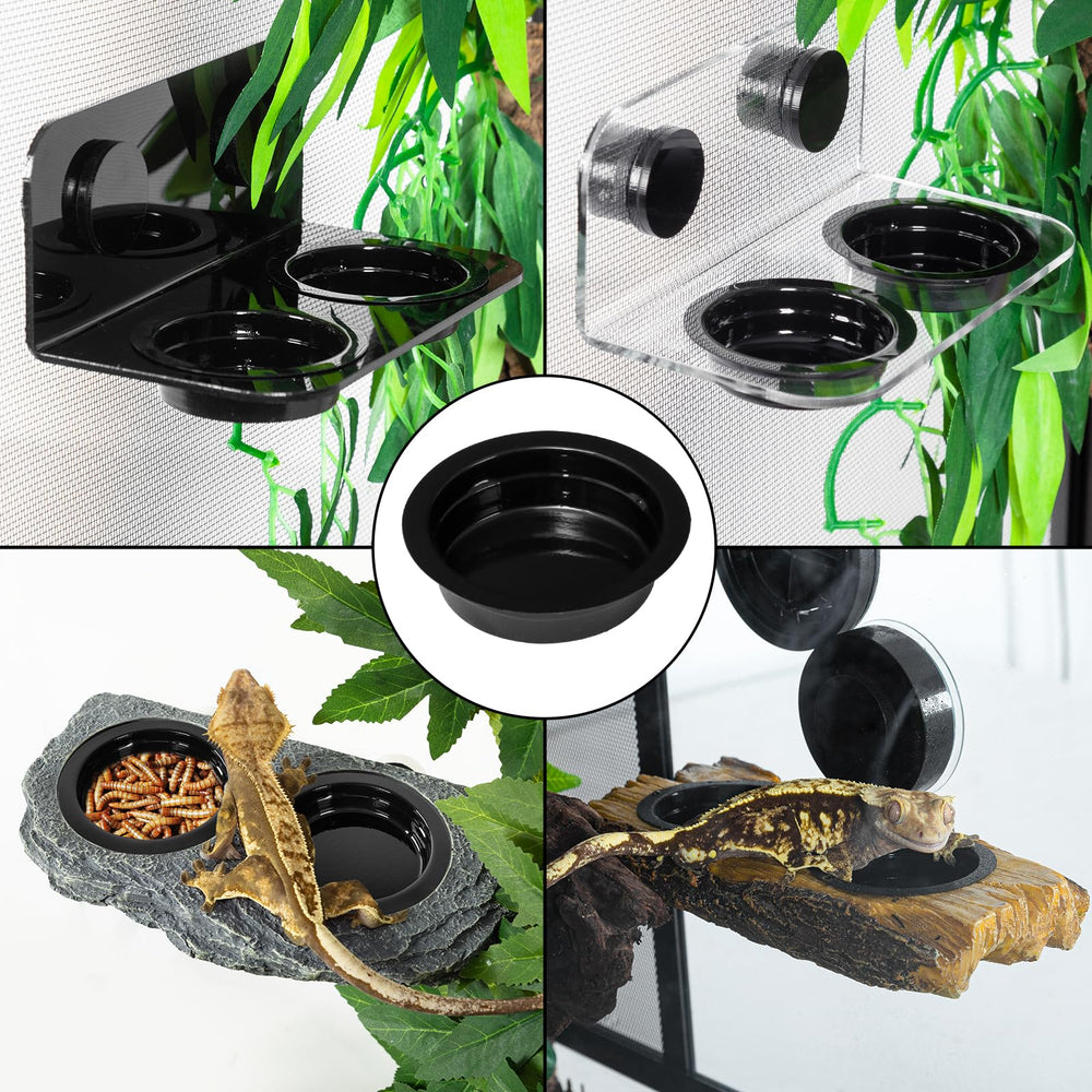 WACOOL-usage-polyvalent-geckos-lizards: facilite l'accès à l'eau et à la nourriture.