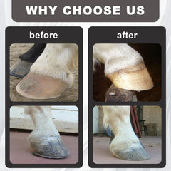 Utilisation multi-animaux Wadoy – convient chevaux, chèvres, poneys et ânes