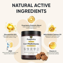 WAESKI Pupganics : goût boeuf aromatique apprécié par les chiens.