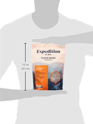 Omega-3 pour soutenir immunité et articulations chez votre chien avec Wag Expedition