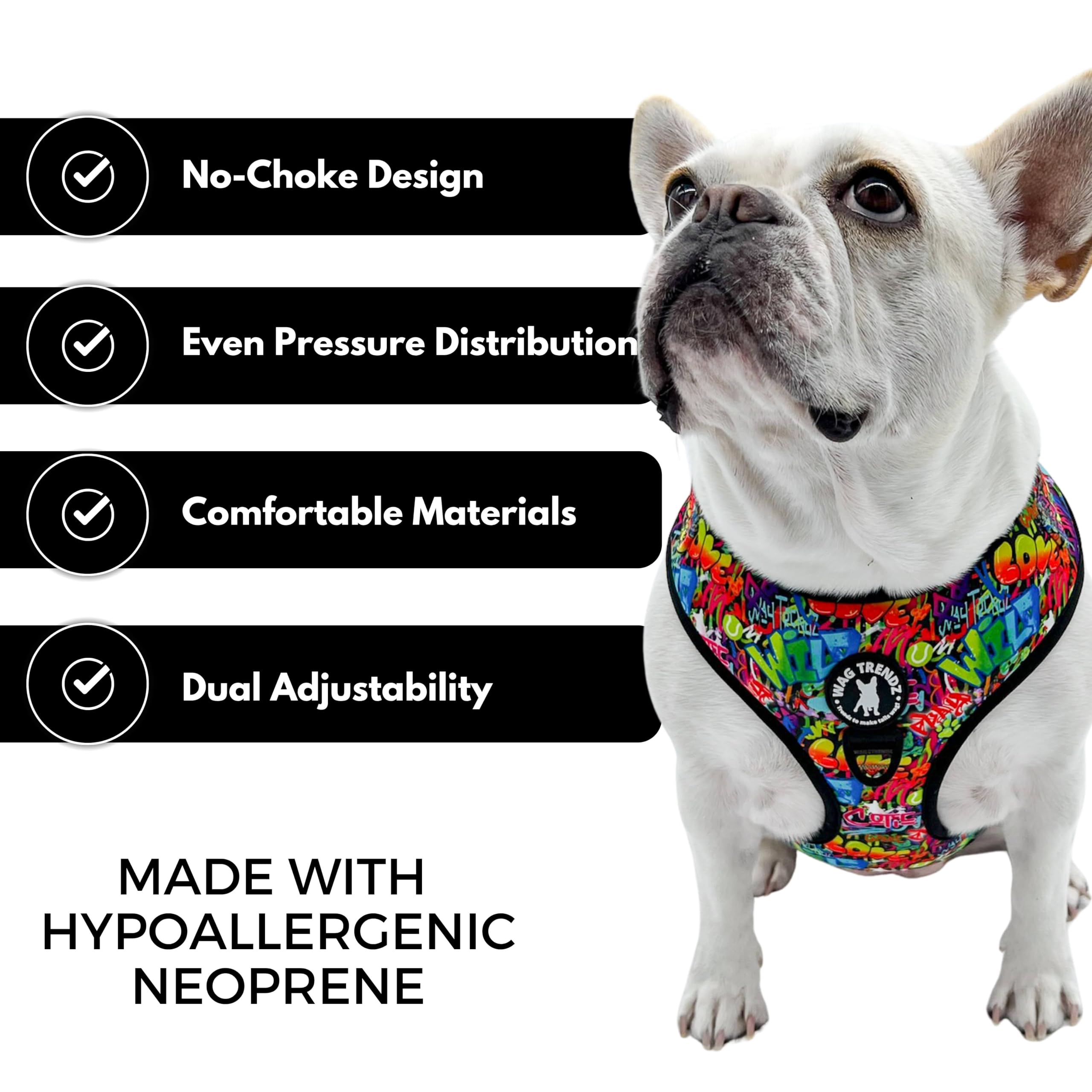 Wag Trendz style street graffiti, design urbain et tendance pour chien audacieux.