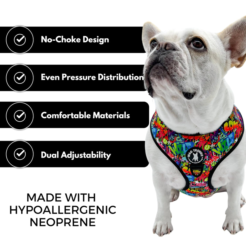 Wag Trendz style street graffiti, design urbain et tendance pour chien audacieux.