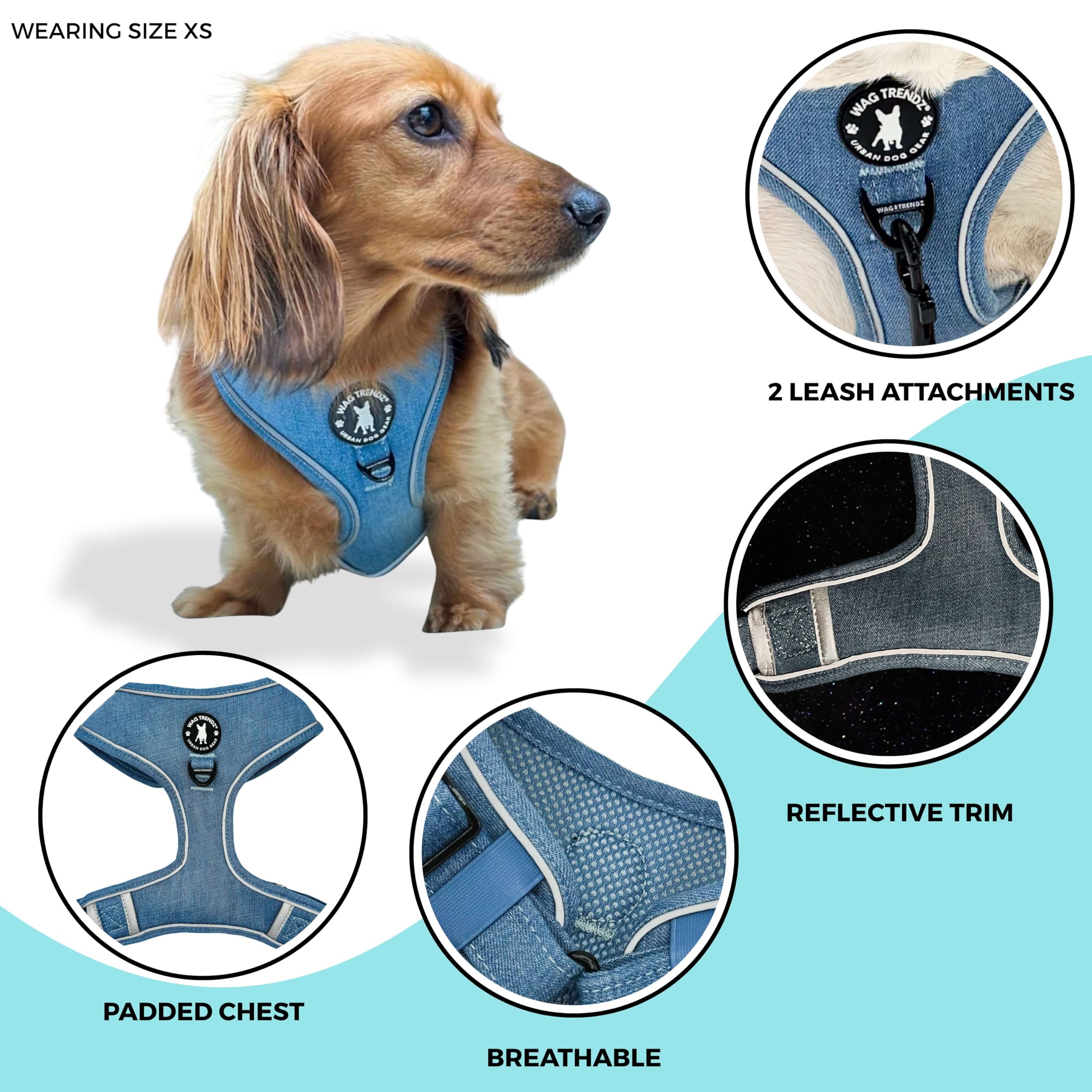 Boucle métallique robuste Wag Trendz pour une fixation fiable.