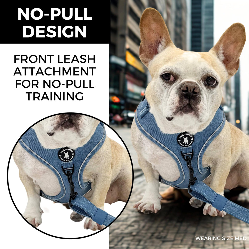 Intérieur en mesh aéré Wag Trendz, confort quotidien pour chien actif.