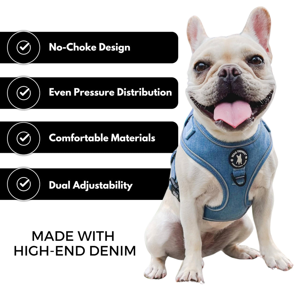 Wag Trendz nylon durable résiste aux aventures quotidiennes.