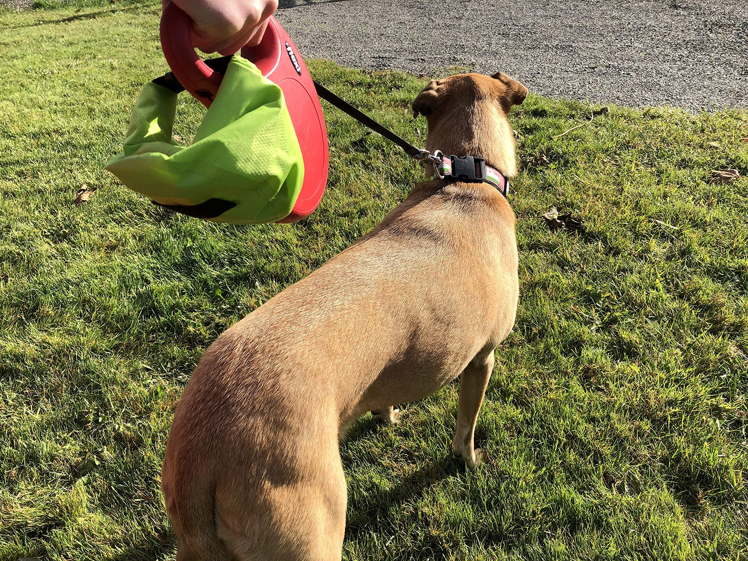Wag & Wander idéal pour promenades avec chiens.