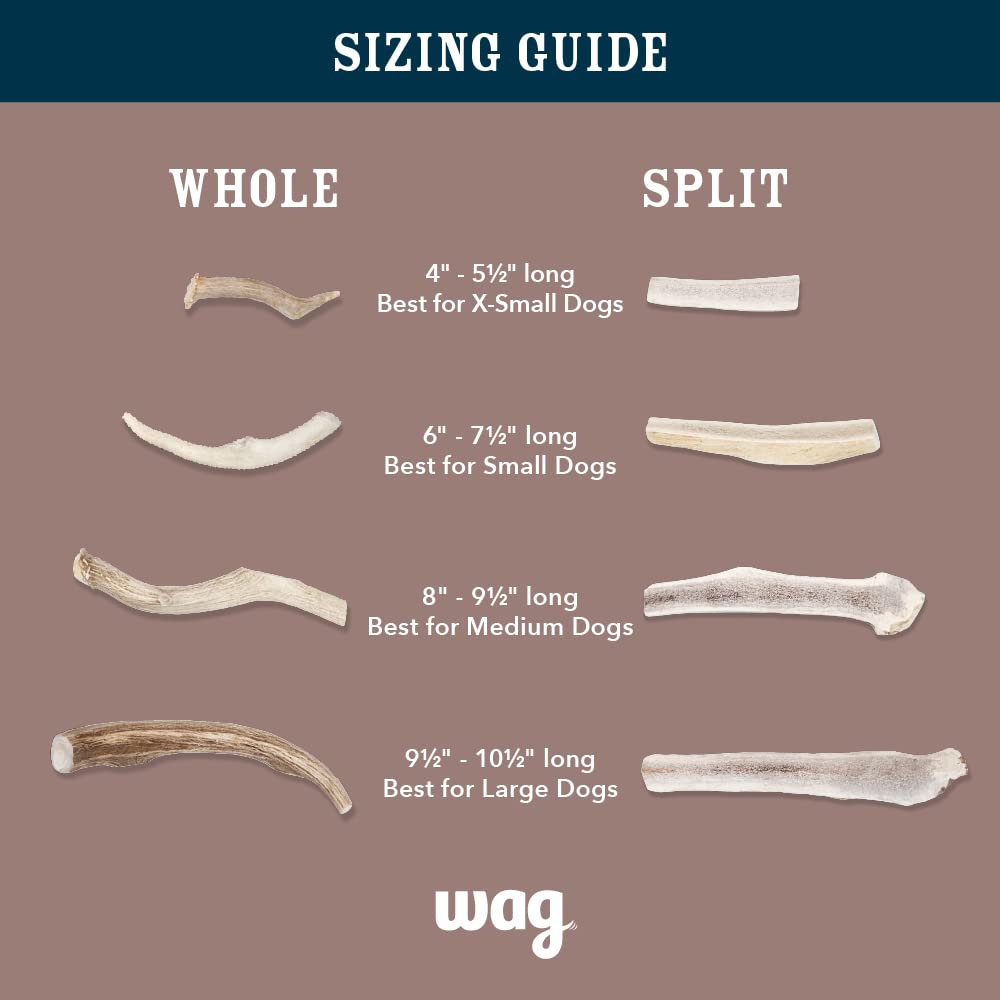 WAG ramure wapiti, adaptée aux petits chiens pour une activité de mastication durable.