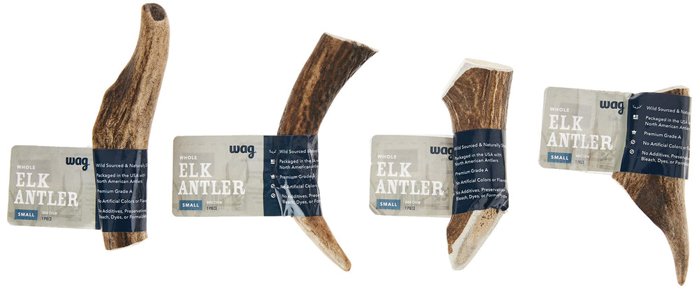 WAG ramure wapiti, pièce entière et durable pour les mastiqueurs expérimentés.